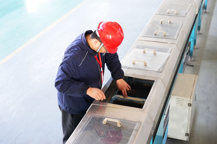 1745561044954973lLX3.jpg DSC01949.jpg